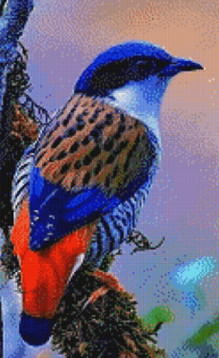 05