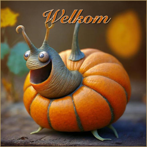 welkom.jpg